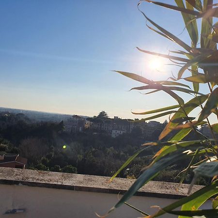 Appartamento "La Terrazza Di Giacinta" Roma Ngoại thất bức ảnh